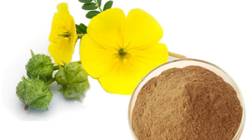 Tribulus Terrestris Extract