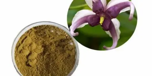 Epimedium Extract (Horny Goat Weed)